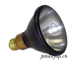 美国sp公司紫外线灯灯泡BLE-100S/M